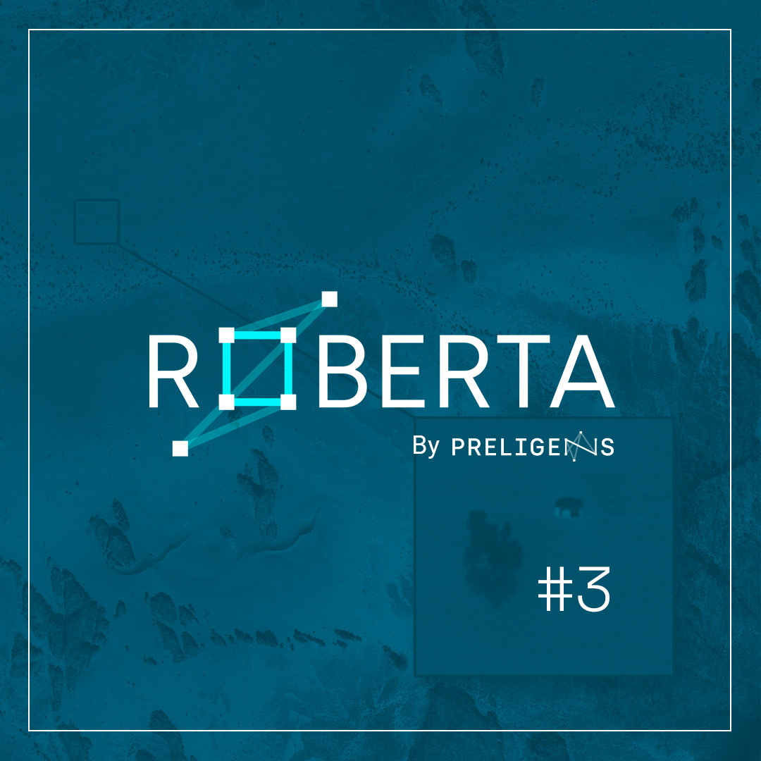 Roberta #3