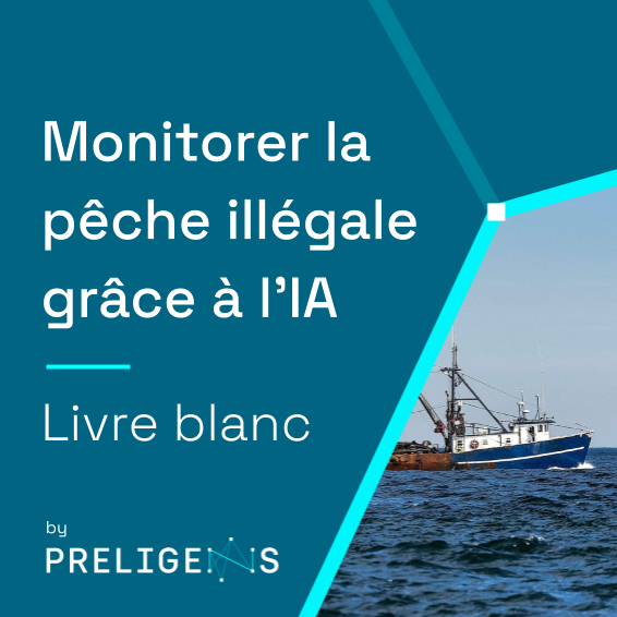Livre Blanc : monitorer la pêche illégale grâce à l'IA [FR]